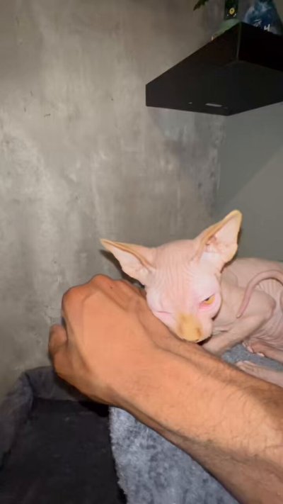 Watch WILL's leaked NSFW video on TwXstars