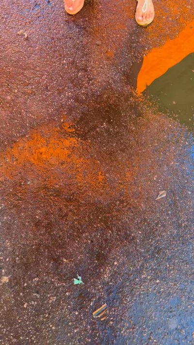 Watch Elisa Sanches's leaked NSFW video on TwXstars