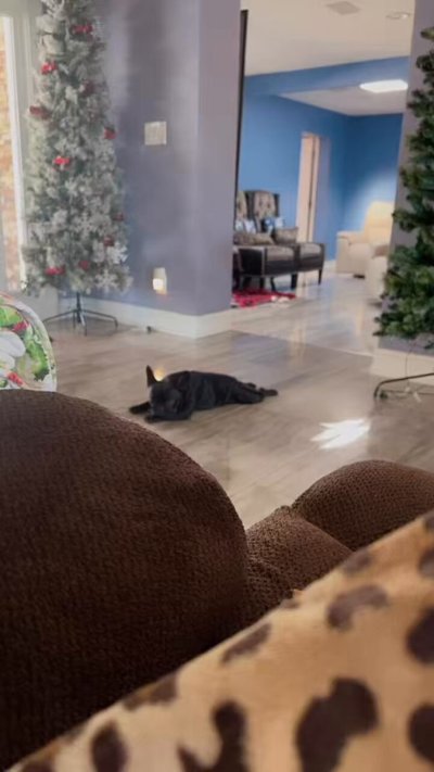 Watch 💎's leaked NSFW video on TwXstars