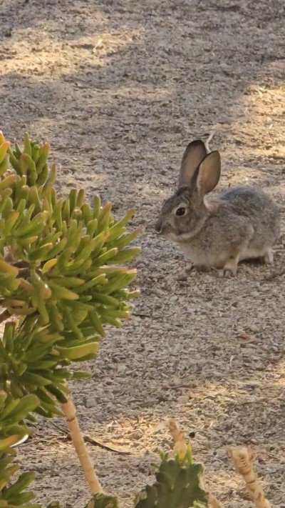 Watch Fellatrix's leaked NSFW video on TwXstars