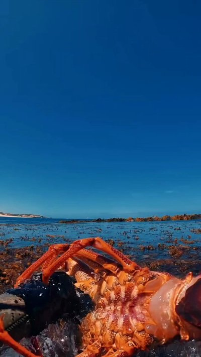 Watch Fck Around N Find Out's leaked NSFW video on TwXstars