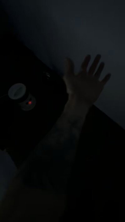 Watch ℑ𝔰𝔯𝔞𝔢𝔩 𝔗𝔞𝔭𝔦𝔞's leaked NSFW video on TwXstars