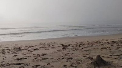 Watch Shane Diesel's leaked NSFW video on TwXstars