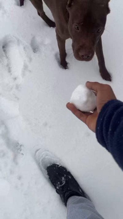 Watch CAM 😈's leaked NSFW video on TwXstars