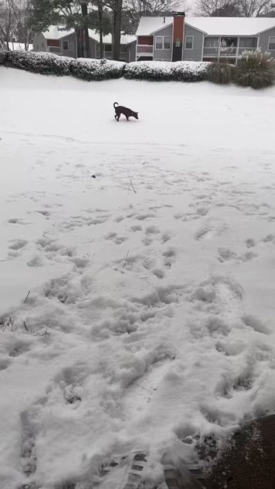 Watch CAM 😈's leaked NSFW video on TwXstars