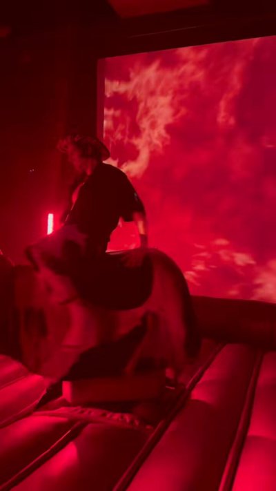 Watch Krokodeal 🐊's leaked NSFW video on TwXstars