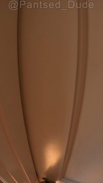 Watch Pantsed Dude (NSFW, 18+)'s leaked NSFW video on TwXstars