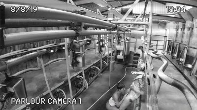 Watch Hannah's leaked NSFW video on TwXstars