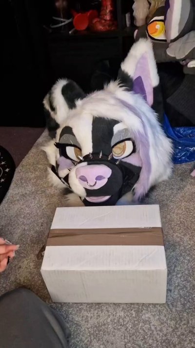 Watch lilpixiekitten's leaked NSFW video on TwXstars