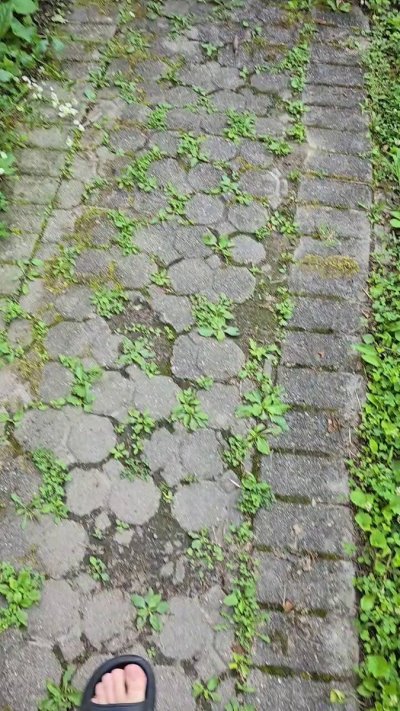 Watch 🔞1-800-🅱️RK-ALOT🔞 🔜 iFC 2025's leaked NSFW video on TwXstars