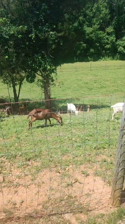 Watch Hazy McGrady's leaked NSFW video on TwXstars