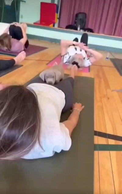 Watch Fun Viral Vids 😊's leaked NSFW video on TwXstars