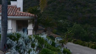 Watch 👑 Cuban's leaked NSFW video on TwXstars