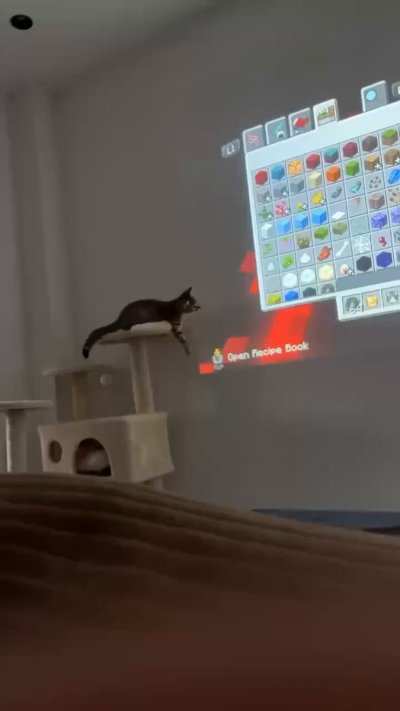 Watch no context memes's leaked NSFW video on TwXstars