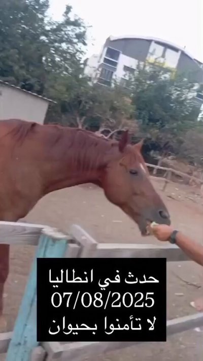 Watch Fck Around N Find Out's leaked NSFW video on TwXstars