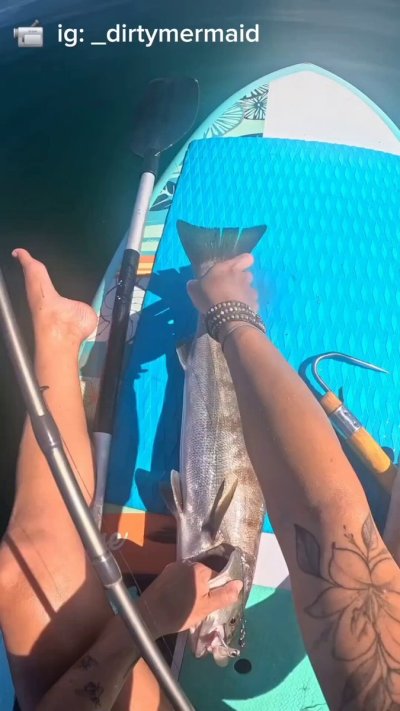 Watch Fck Around N Find Out's leaked NSFW video on TwXstars