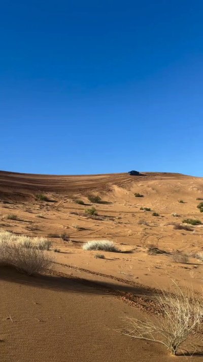 Watch Fck Around N Find Out's leaked NSFW video on TwXstars