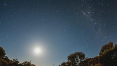 Watch Western Australia's leaked NSFW video on TwXstars