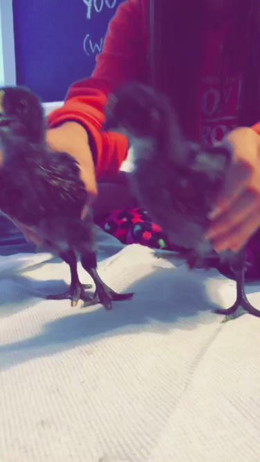 Watch Whit's leaked NSFW video on TwXstars