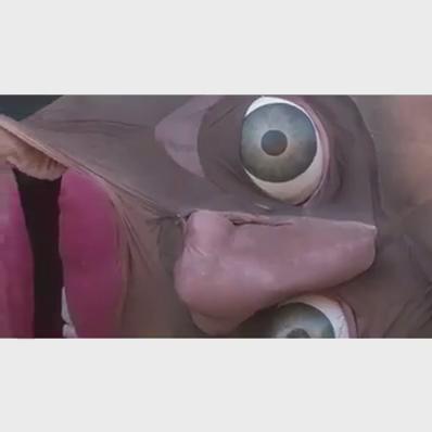 Watch 🌐🏚's leaked NSFW video on TwXstars