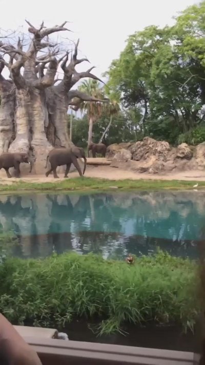 Watch indica flower 🤍✨'s leaked NSFW video on TwXstars