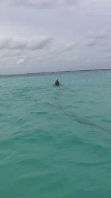 Watch Shakira's leaked NSFW video on TwXstars