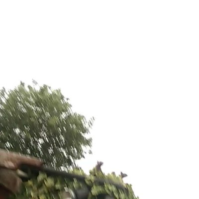 Watch Rachael C │ FREE OF 🩵's leaked NSFW video on TwXstars