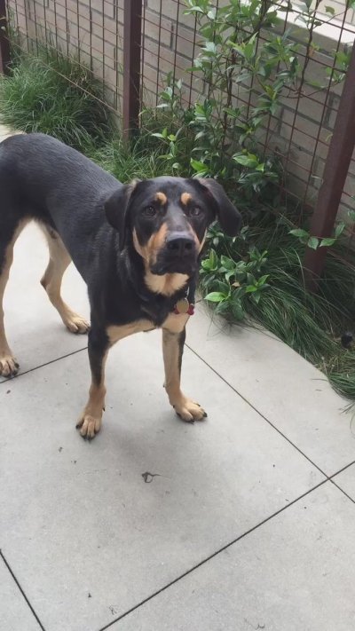 Watch Mia Little's leaked NSFW video on TwXstars