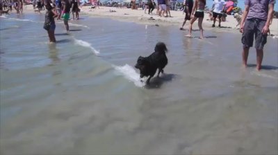 Watch Chris Salvatore's leaked NSFW video on TwXstars