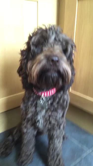 Watch Bethany lily april's leaked NSFW video on TwXstars