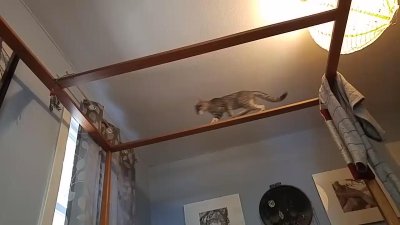 Watch Tiggle Bitties 18+'s leaked NSFW video on TwXstars