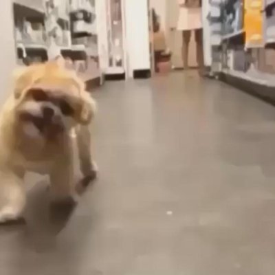 Watch Alicia's leaked NSFW video on TwXstars