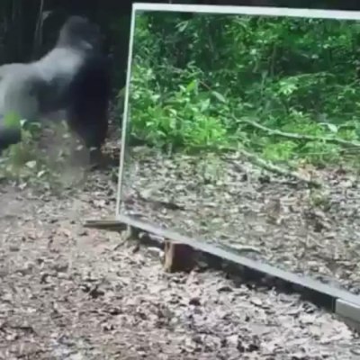 Watch Mr.Karlous's leaked NSFW video on TwXstars