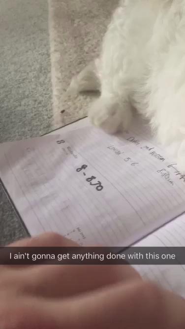 Watch Chris Hatton's leaked NSFW video on TwXstars