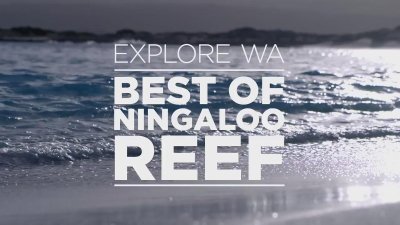 Watch Western Australia's leaked NSFW video on TwXstars