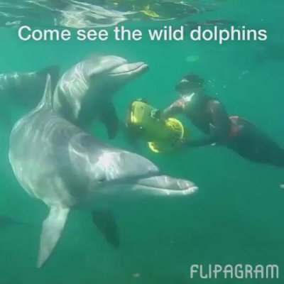 Watch Western Australia's leaked NSFW video on TwXstars