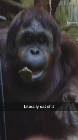 Watch Justin Hall's leaked NSFW video on TwXstars