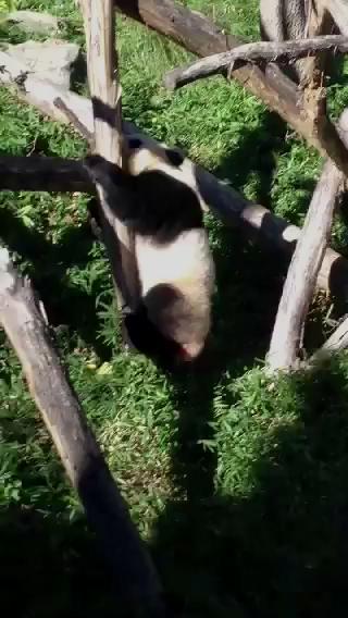 Watch Justin Hall's leaked NSFW video on TwXstars