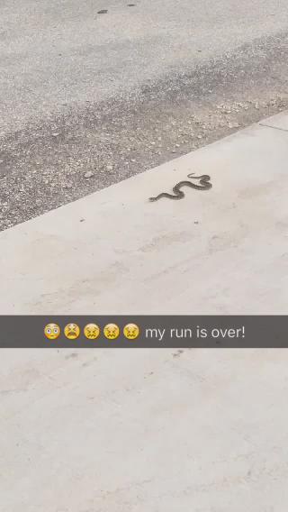 Watch *LeLes Enticing*'s leaked NSFW video on TwXstars