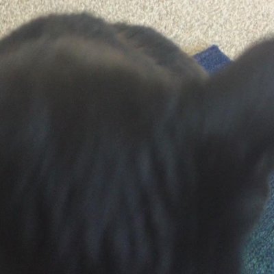 Watch August Ames's leaked NSFW video on TwXstars