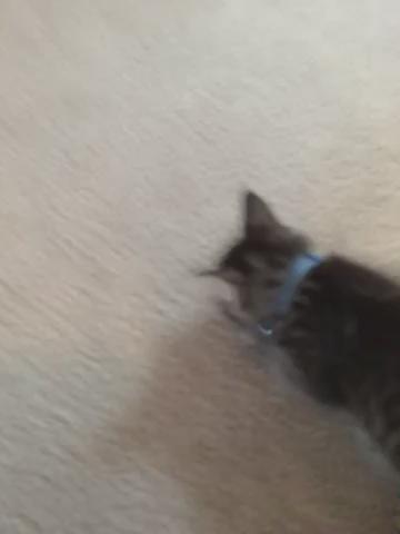 Watch Jay Parker's leaked NSFW video on TwXstars