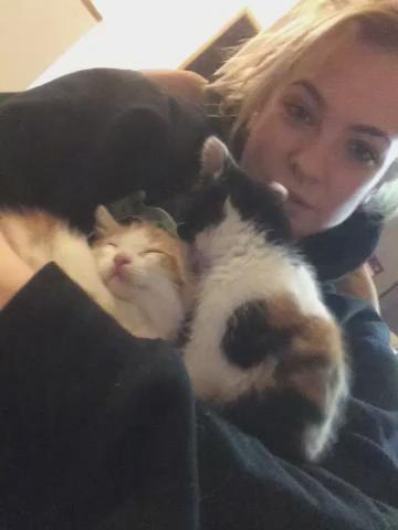 Watch Dahlia Sky's leaked NSFW video on TwXstars