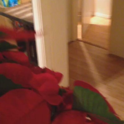 Watch Chris Salvatore's leaked NSFW video on TwXstars