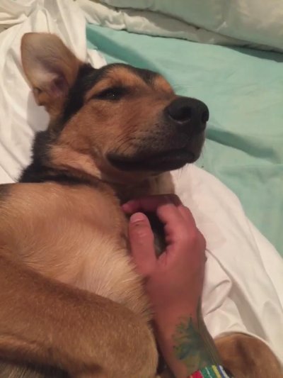 Watch Matu's leaked NSFW video on TwXstars