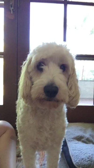 Watch may 🇦🇺's leaked NSFW video on TwXstars