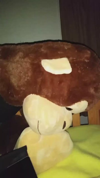 Watch Lil’Mogwai's leaked NSFW video on TwXstars