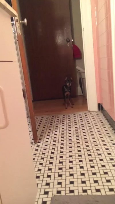 Watch purr 🐀🔜 EVO‼️'s leaked NSFW video on TwXstars