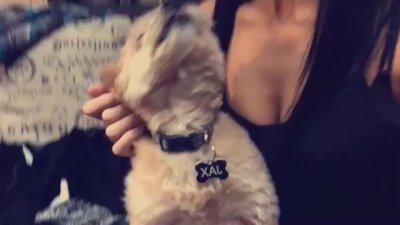 Watch Andie Case's leaked NSFW video on TwXstars