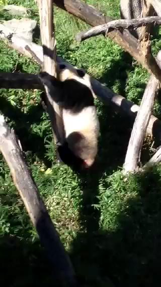 Watch Justin Hall's leaked NSFW video on TwXstars