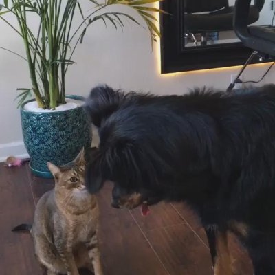 Watch Chris Salvatore's leaked NSFW video on TwXstars